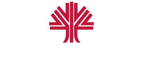 International Decorative Surfaces Logo